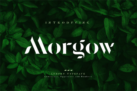 Morgow: The Elegant Minimal Display Font for Modern Web Design